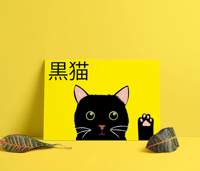 Les créations - illustration Le chat noir
