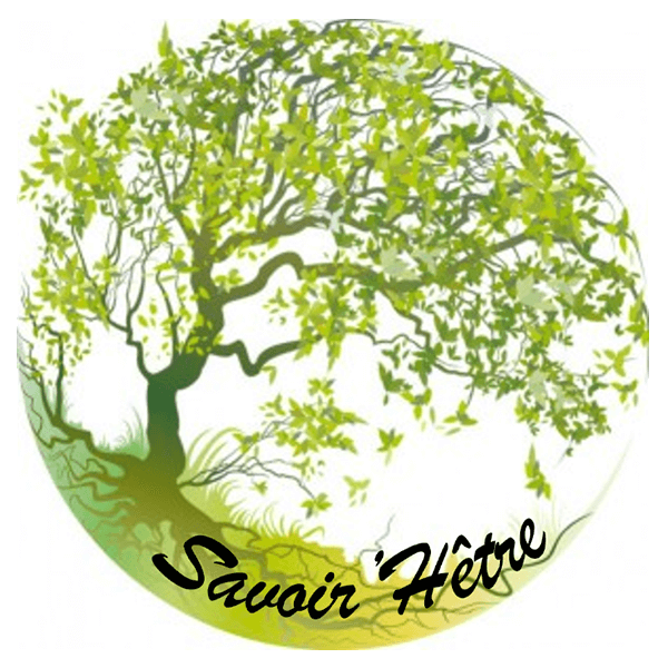 logo de savoir hêtre illustration d'un arbre