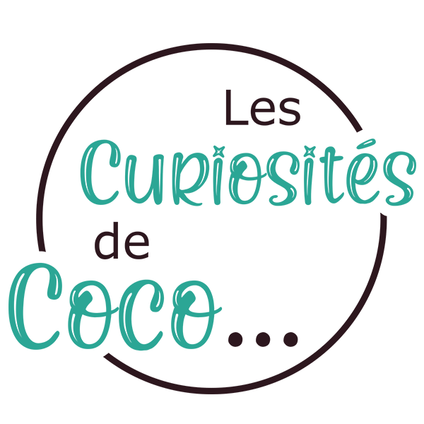 Episode 10 : rencontre avec Coline Caniard et sa boutique Les Curiosités de Coco