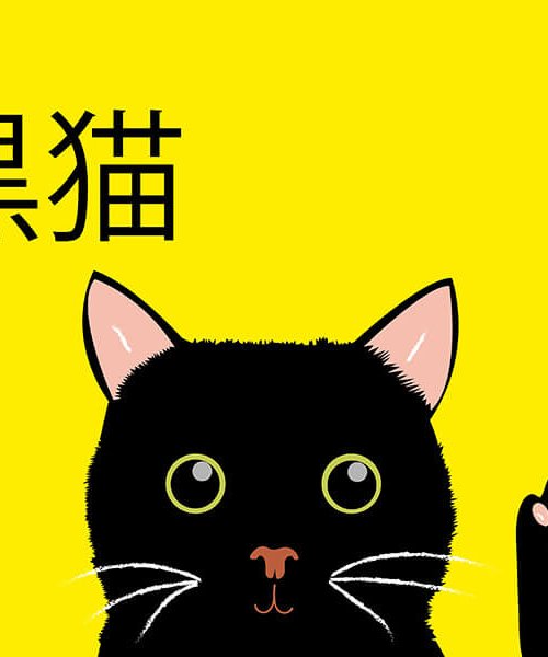 Les créations - illustration Le chat noir